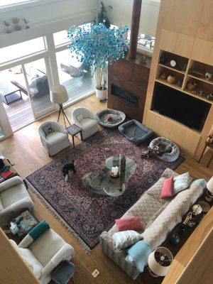 Interior Services in Wilmington, North Carolina